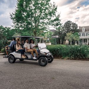 Alternative view of L6-Elite